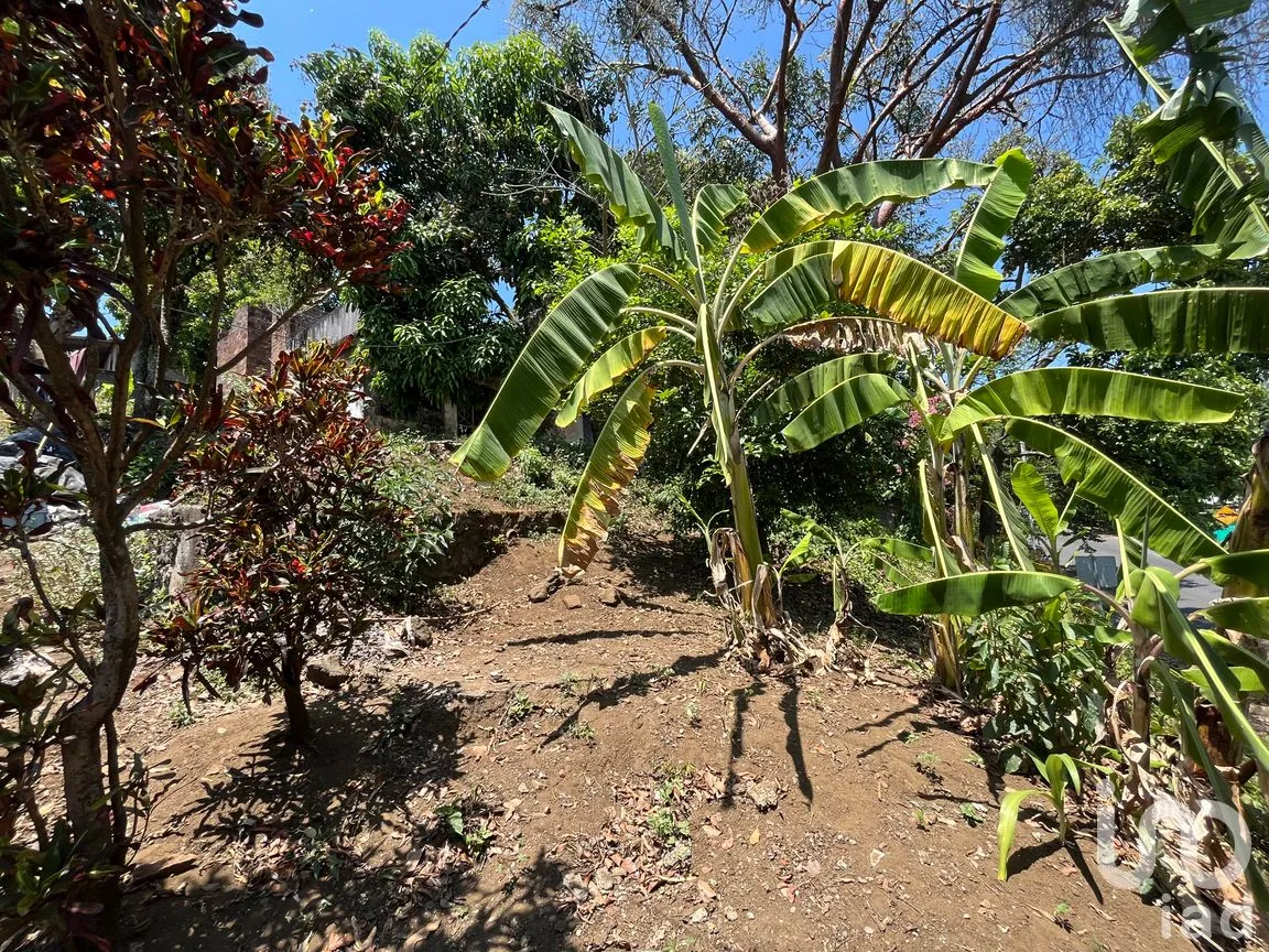 Terreno en Venta en Silva, San Andrés Tuxtla, Veracruz de Ignacio de la Llave | NEX-250068 | iad México | Foto 7 de 24