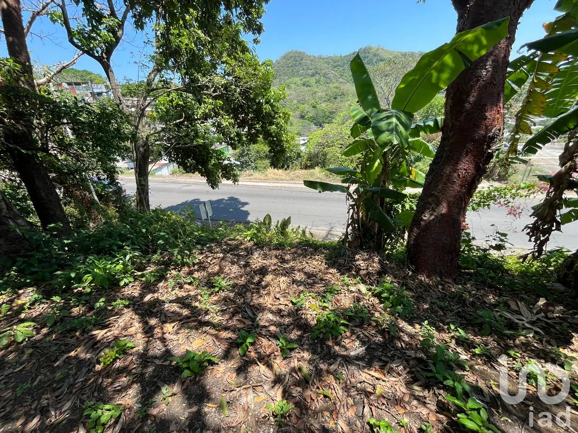 Terreno en Venta en Silva, San Andrés Tuxtla, Veracruz de Ignacio de la Llave | NEX-250068 | iad México | Foto 2 de 26