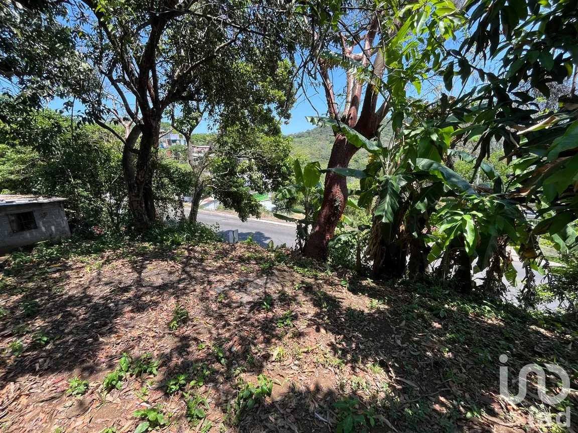 Terreno en Venta en Silva, San Andrés Tuxtla, Veracruz de Ignacio de la Llave | NEX-250068 | iad México | Foto 12 de 26