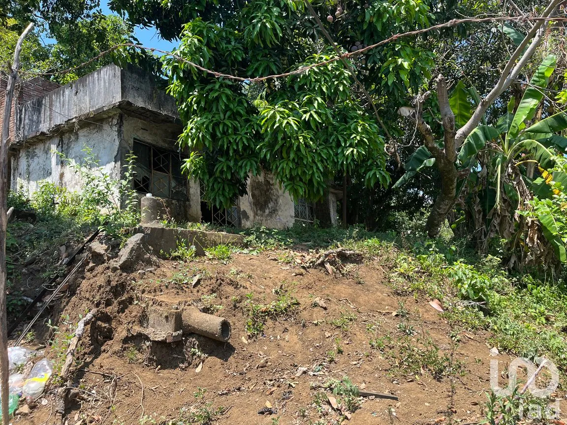 Terreno en Venta en Silva, San Andrés Tuxtla, Veracruz de Ignacio de la Llave | NEX-250068 | iad México | Foto 5 de 26