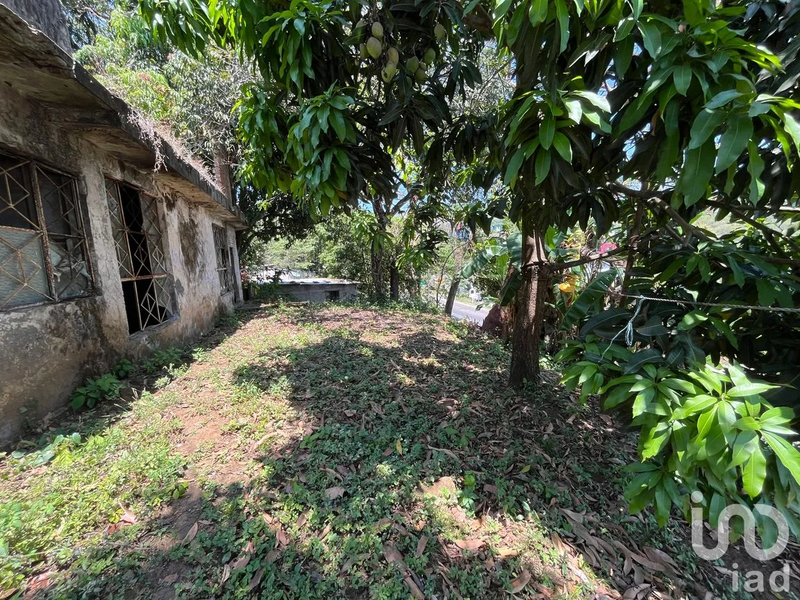 Terreno en Venta en Silva, San Andrés Tuxtla, Veracruz de Ignacio de la Llave | NEX-250068 | iad México | Foto 10 de 26