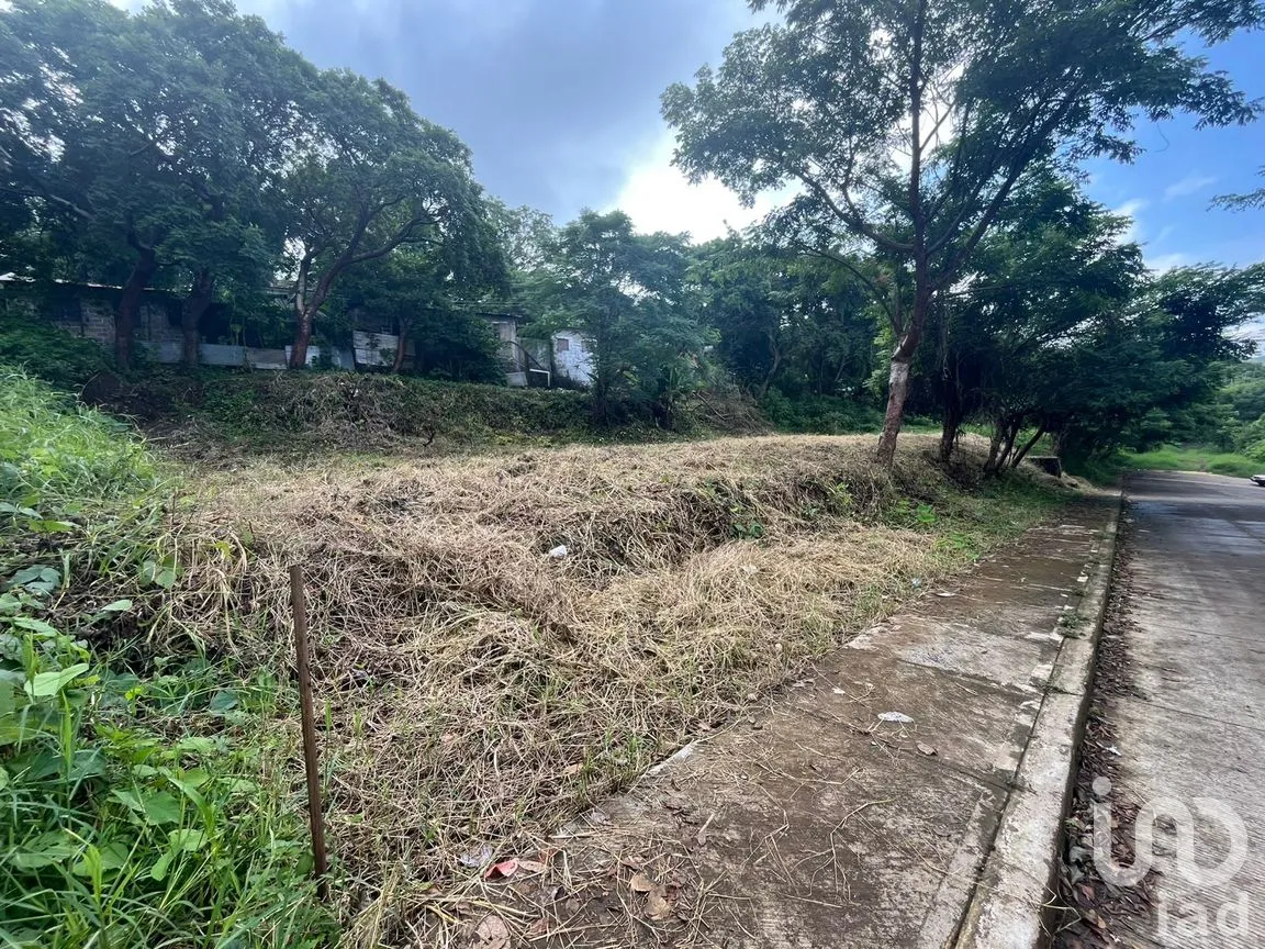 Terreno en Renta en Emiliano Zapata, San Andrés Tuxtla, Veracruz de Ignacio de la Llave | NEX-261705 | iad México | Foto 8 de 8