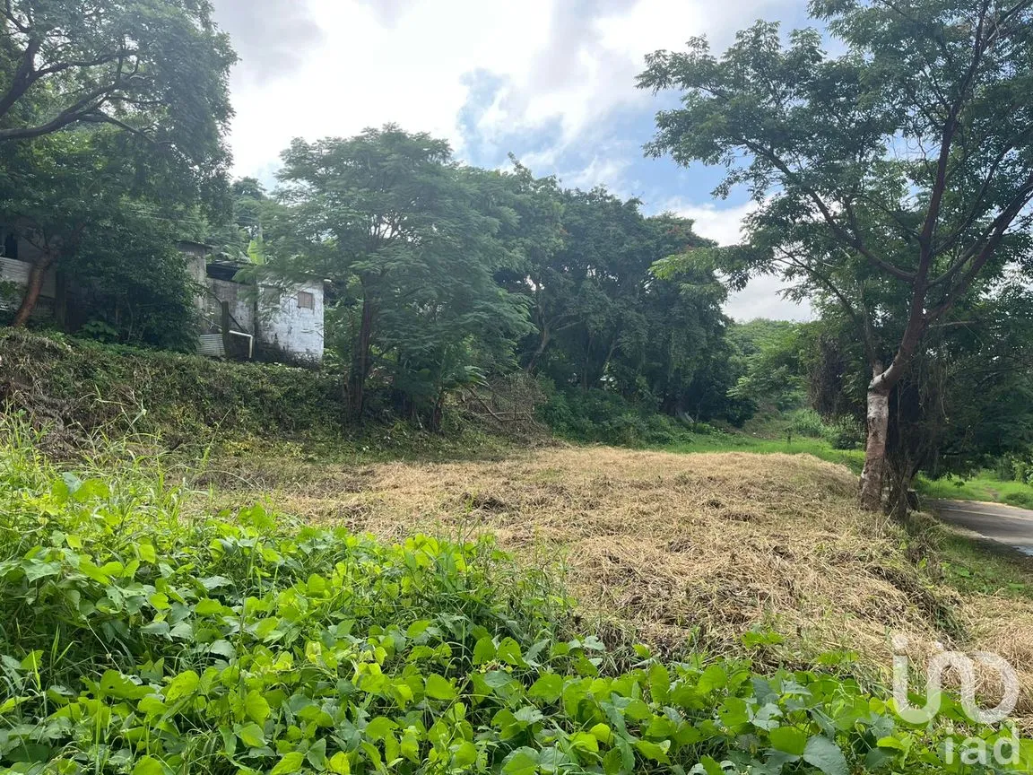 Terreno en Renta en Emiliano Zapata, San Andrés Tuxtla, Veracruz de Ignacio de la Llave | NEX-261705 | iad México | Foto 5 de 9