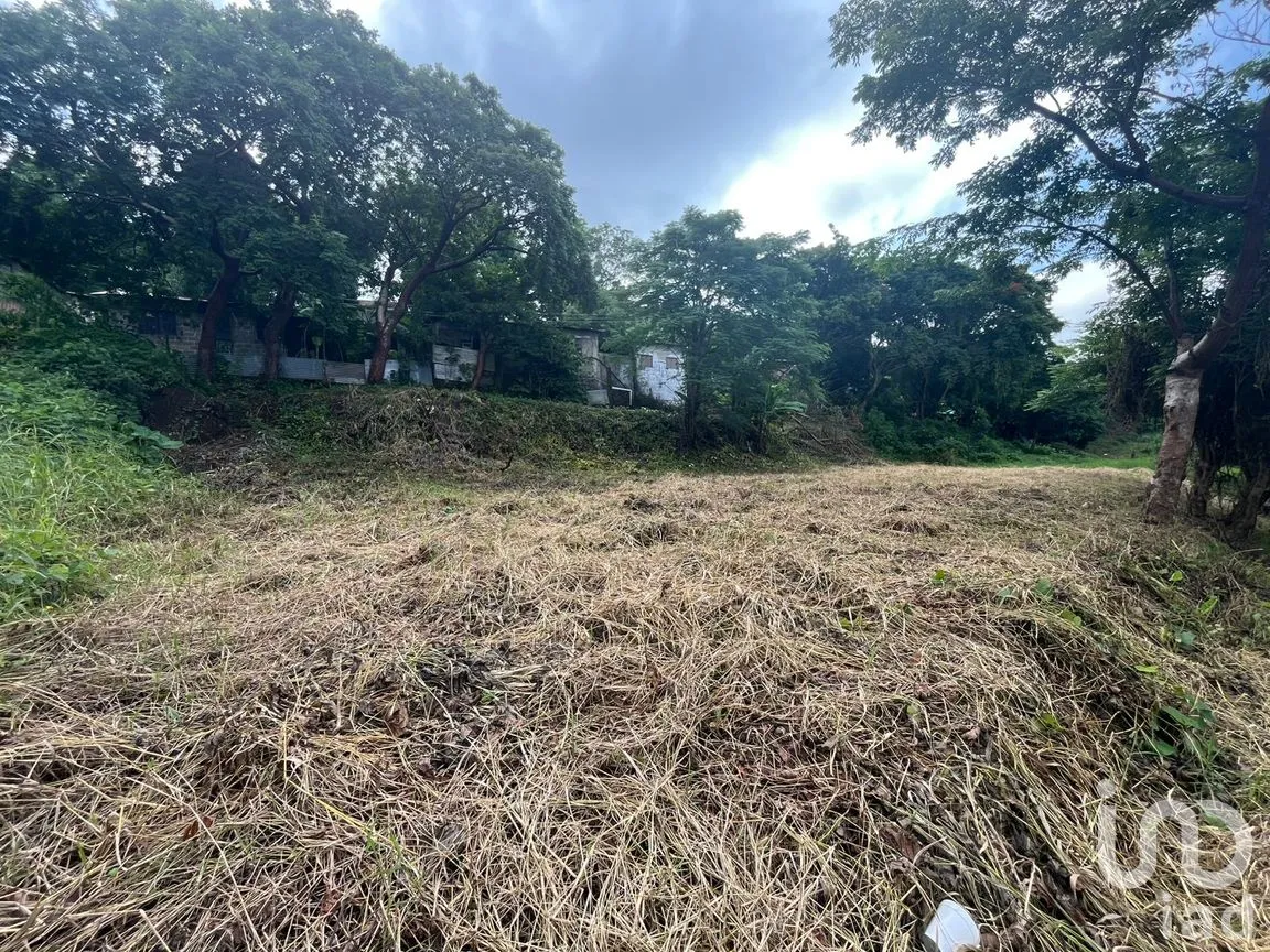 Terreno en Renta en Emiliano Zapata, San Andrés Tuxtla, Veracruz de Ignacio de la Llave | NEX-261705 | iad México | Foto 7 de 9