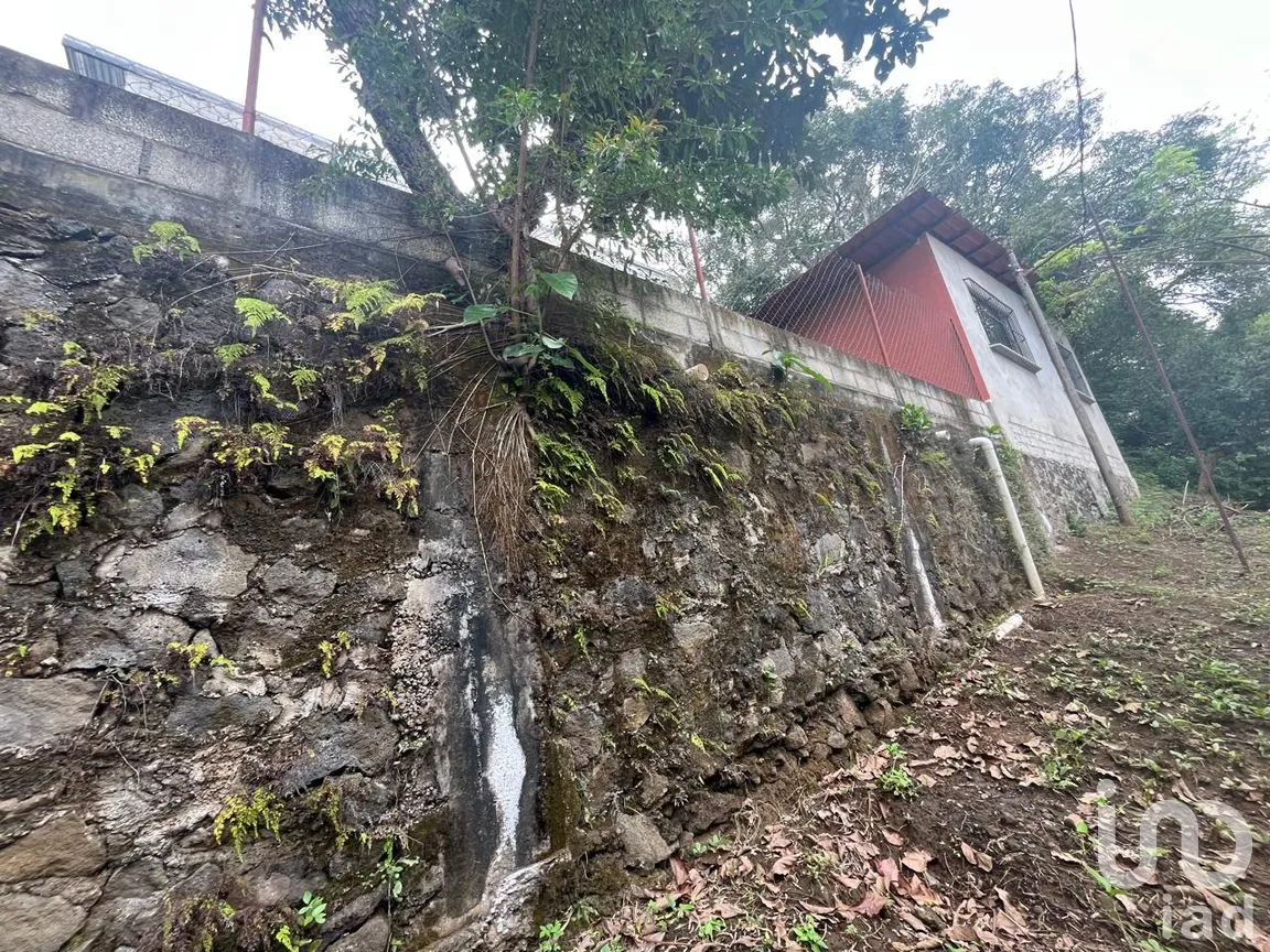 Casa en Venta en San Martin, San Andrés Tuxtla, Veracruz de Ignacio de la Llave | NEX-284035 | iad México | Foto 14 de 18