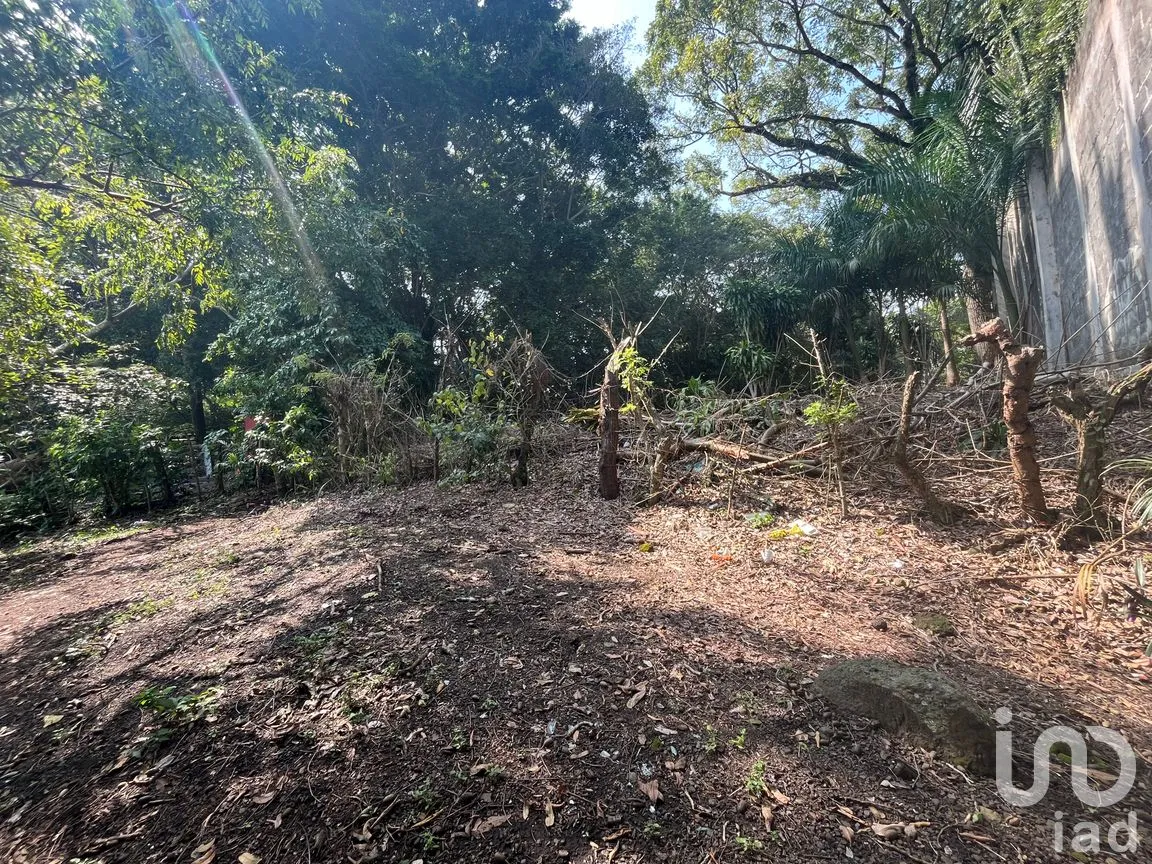 Terreno en Venta en Cerro Canseco, Catemaco, Veracruz de Ignacio de la Llave | NEX-286131 | iad México | Foto 2 de 16