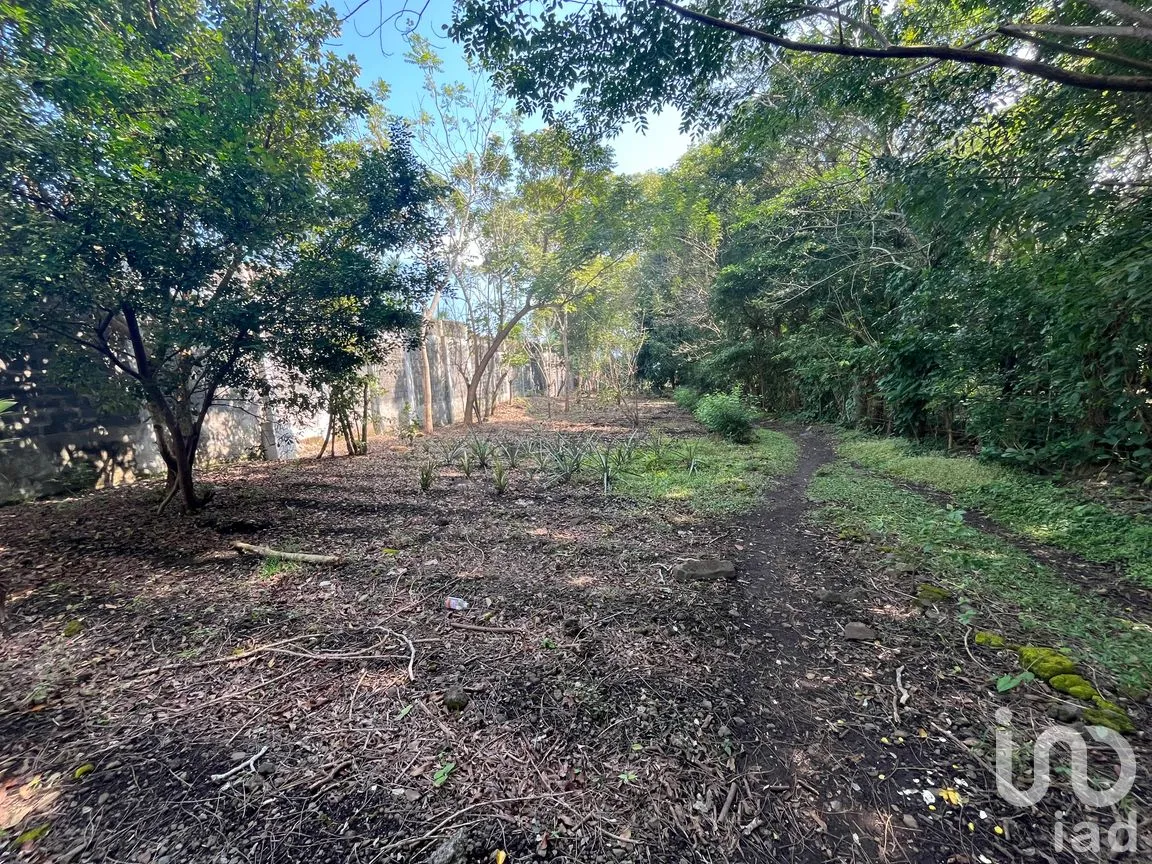 Terreno en Venta en Cerro Canseco, Catemaco, Veracruz de Ignacio de la Llave | NEX-286131 | iad México | Foto 11 de 16
