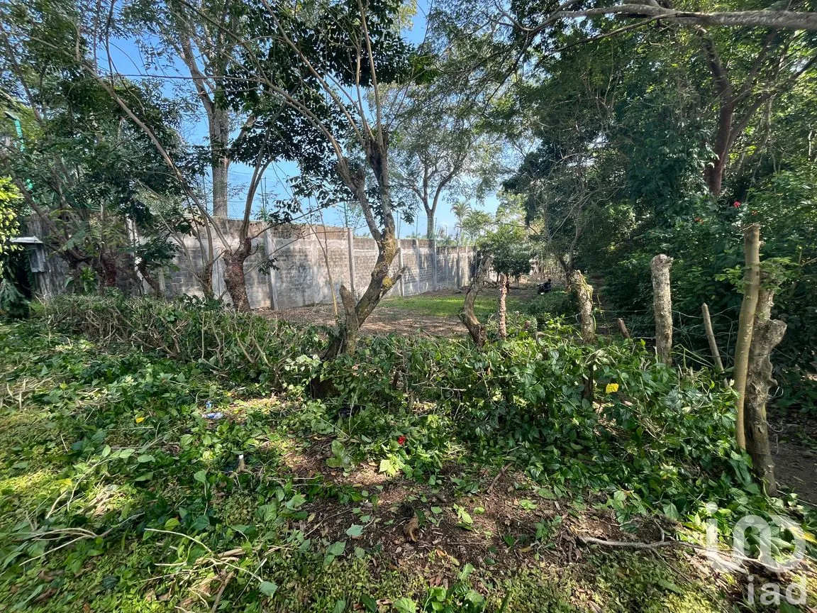 Terreno en Venta en Cerro Canseco, Catemaco, Veracruz de Ignacio de la Llave | NEX-286131 | iad México | Foto 12 de 16