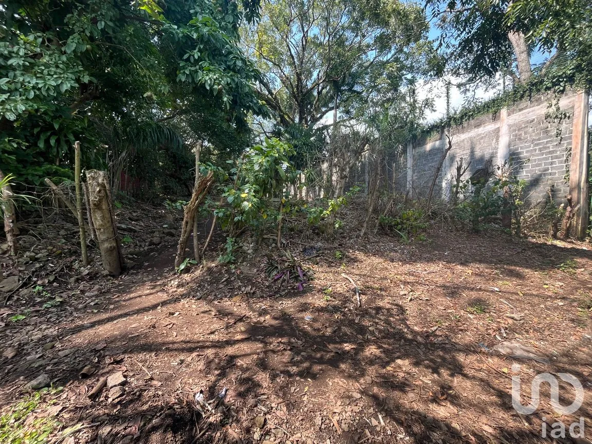 Terreno en Venta en Cerro Canseco, Catemaco, Veracruz de Ignacio de la Llave | NEX-286131 | iad México | Foto 3 de 16
