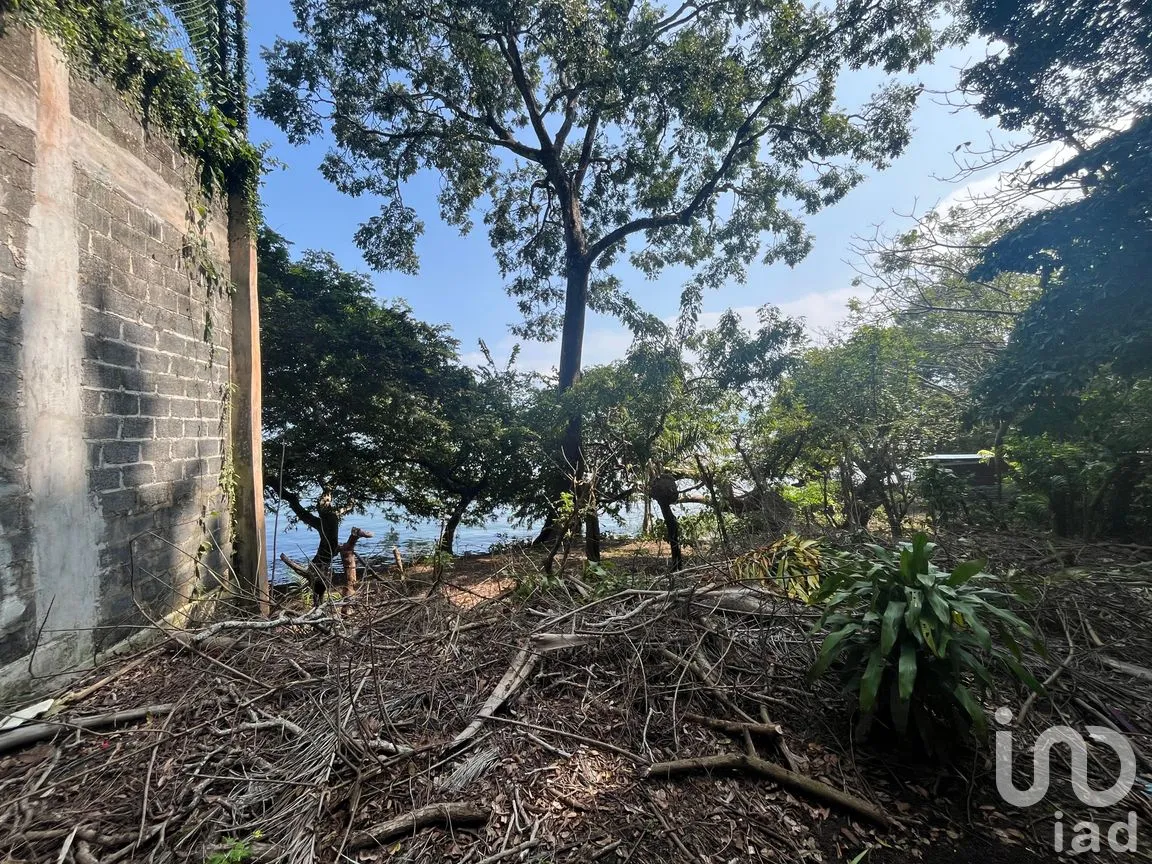 Terreno en Venta en Cerro Canseco, Catemaco, Veracruz de Ignacio de la Llave | NEX-286131 | iad México | Foto 4 de 16
