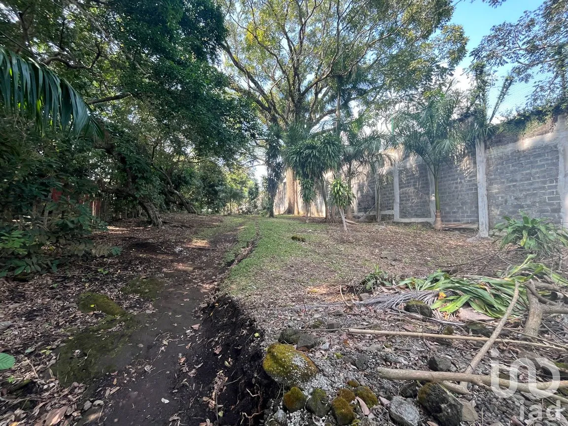 Terreno en Venta en Cerro Canseco, Catemaco, Veracruz de Ignacio de la Llave | NEX-286131 | iad México | Foto 5 de 16