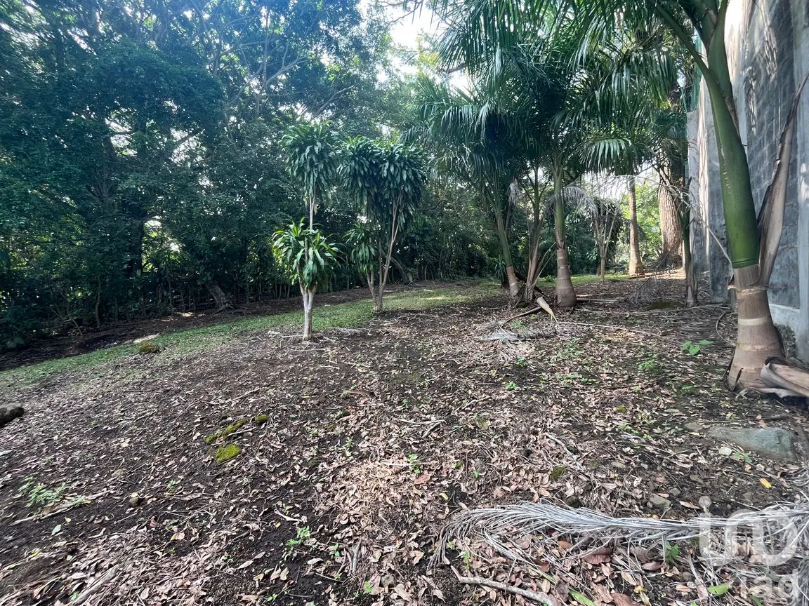 Terreno en Venta en Cerro Canseco, Catemaco, Veracruz de Ignacio de la Llave | NEX-286131 | iad México | Foto 6 de 16