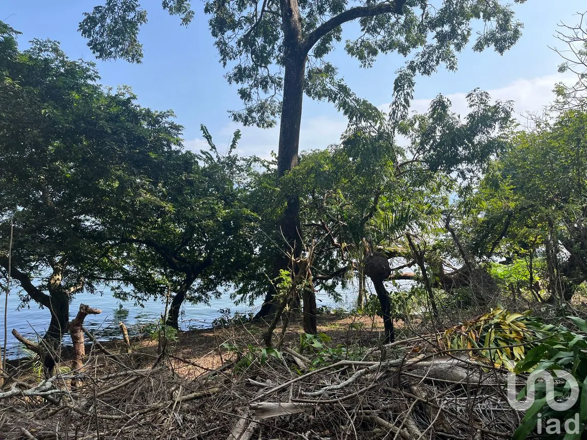 Terreno en Venta en Cerro Canseco, Catemaco, Veracruz de Ignacio de la Llave | NEX-286131 | iad México | Foto 7 de 16