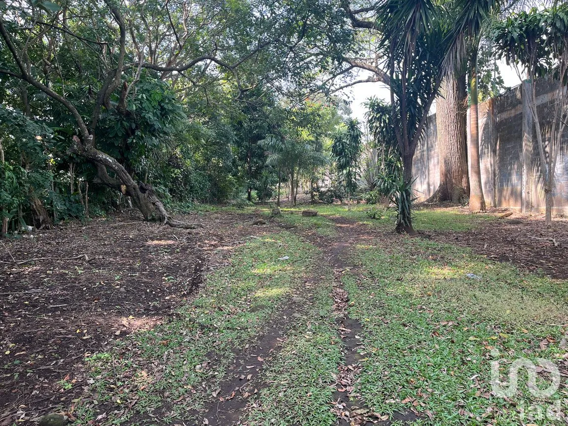 Terreno en Venta en Cerro Canseco, Catemaco, Veracruz de Ignacio de la Llave | NEX-286131 | iad México | Foto 8 de 16