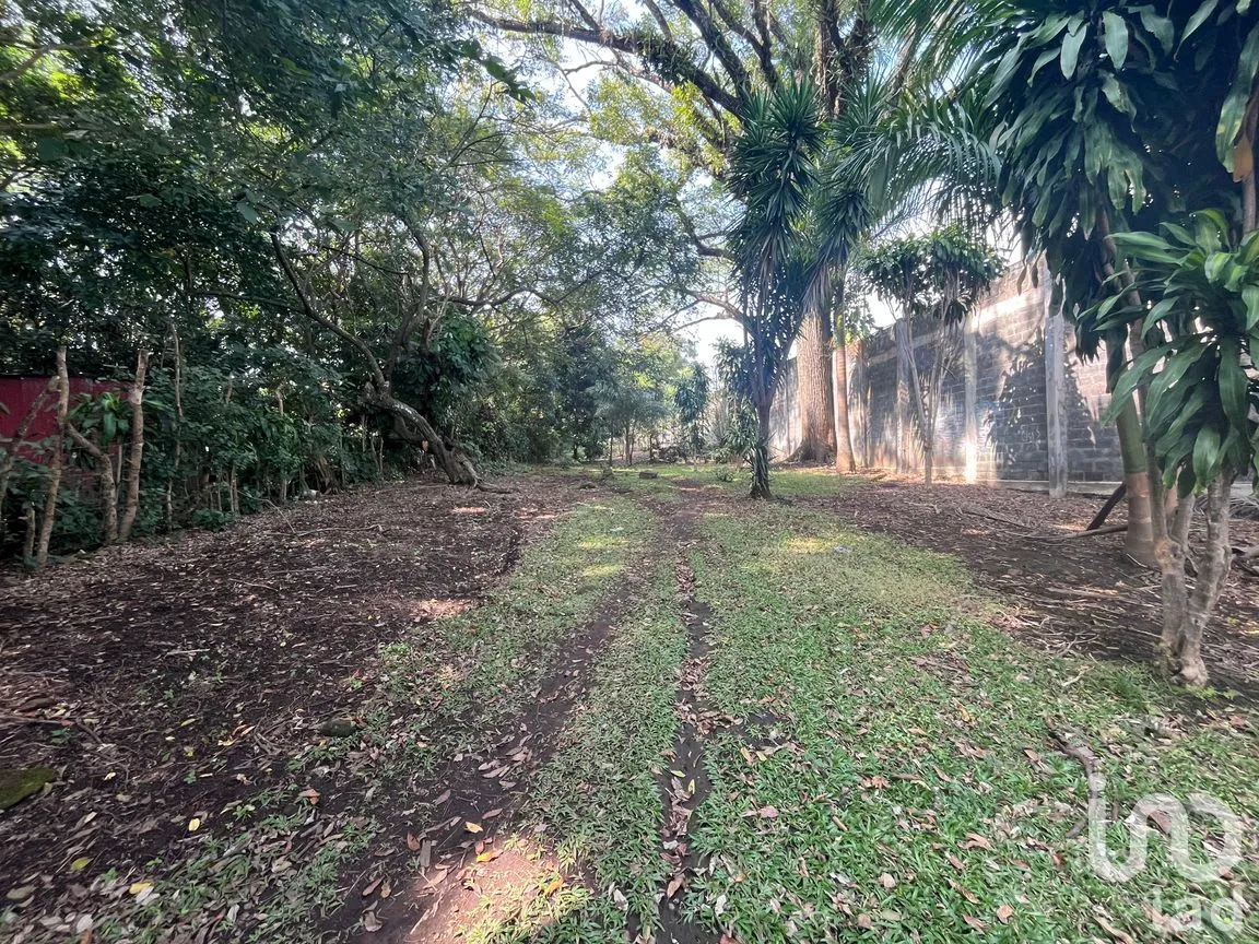Terreno en Venta en Cerro Canseco, Catemaco, Veracruz de Ignacio de la Llave | NEX-286131 | iad México | Foto 9 de 16