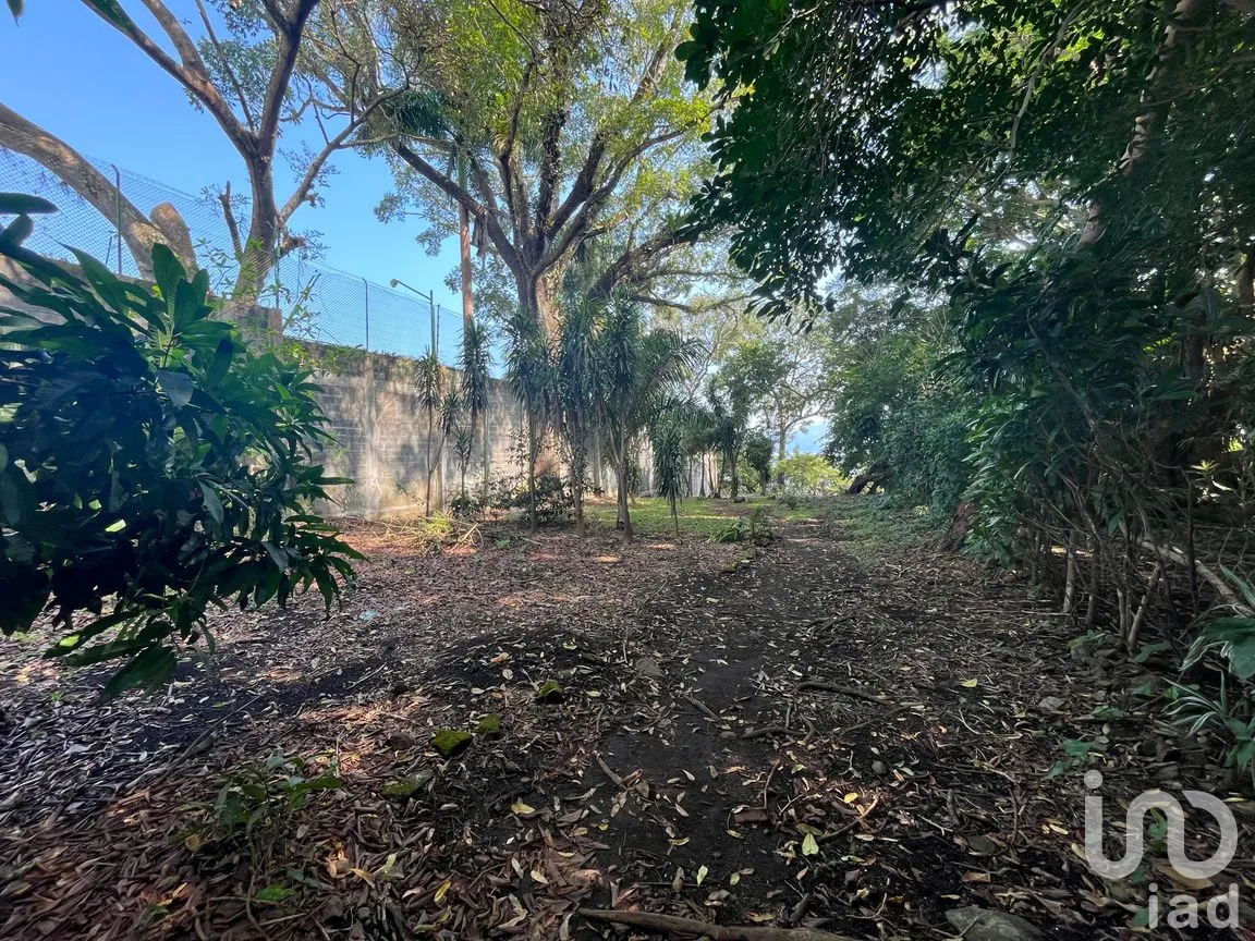 Terreno en Venta en Cerro Canseco, Catemaco, Veracruz de Ignacio de la Llave | NEX-286131 | iad México | Foto 10 de 16