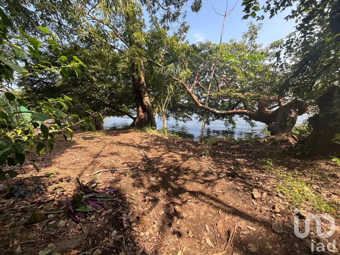 Terreno en Venta en Cerro Canseco, Catemaco, Veracruz de Ignacio de la Llave | NEX-286131 | iad México | Foto 1 de 16