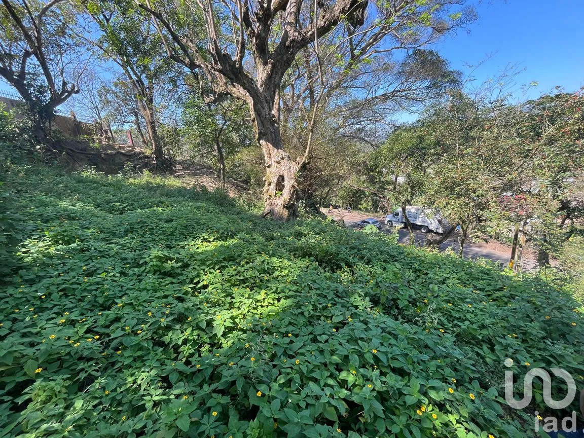 Edificio en Venta en El Marquez, Santiago Tuxtla, Veracruz de Ignacio de la Llave | NEX-289996 | iad México | Foto 14 de 24
