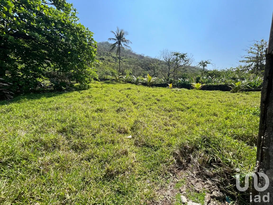 Terreno en Venta en Montepío, San Andrés Tuxtla, Veracruz de Ignacio de la Llave | NEX-291733 | iad México | Foto 3 de 10