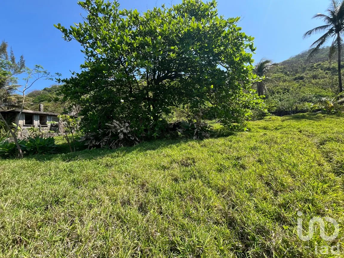 Terreno en Venta en Montepío, San Andrés Tuxtla, Veracruz de Ignacio de la Llave | NEX-291733 | iad México | Foto 4 de 10