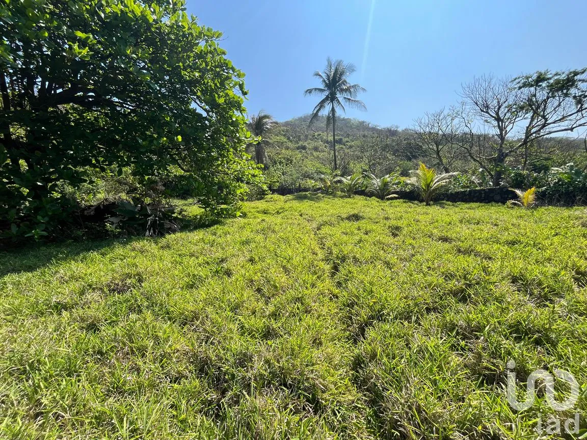 Terreno en Venta en Montepío, San Andrés Tuxtla, Veracruz de Ignacio de la Llave | NEX-291733 | iad México | Foto 5 de 10