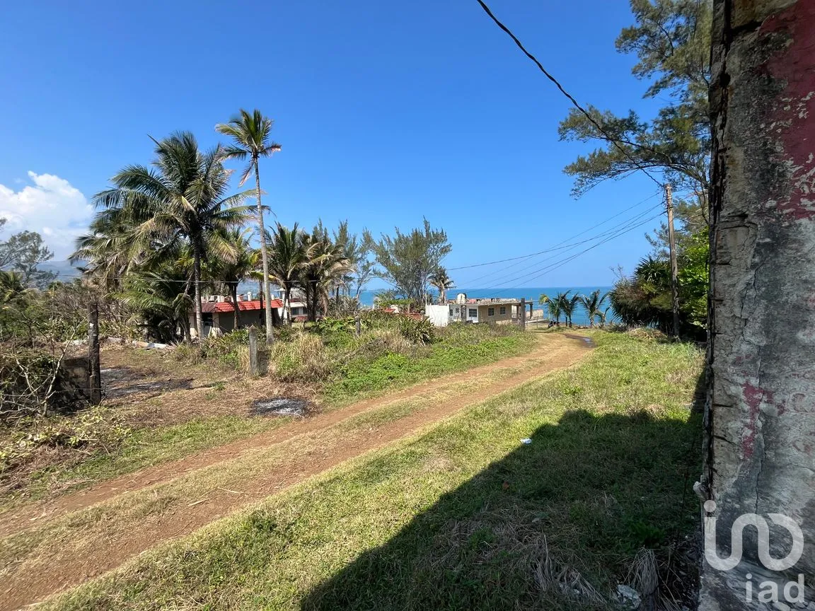 Terreno en Venta en Montepío, San Andrés Tuxtla, Veracruz de Ignacio de la Llave | NEX-291733 | iad México | Foto 9 de 10