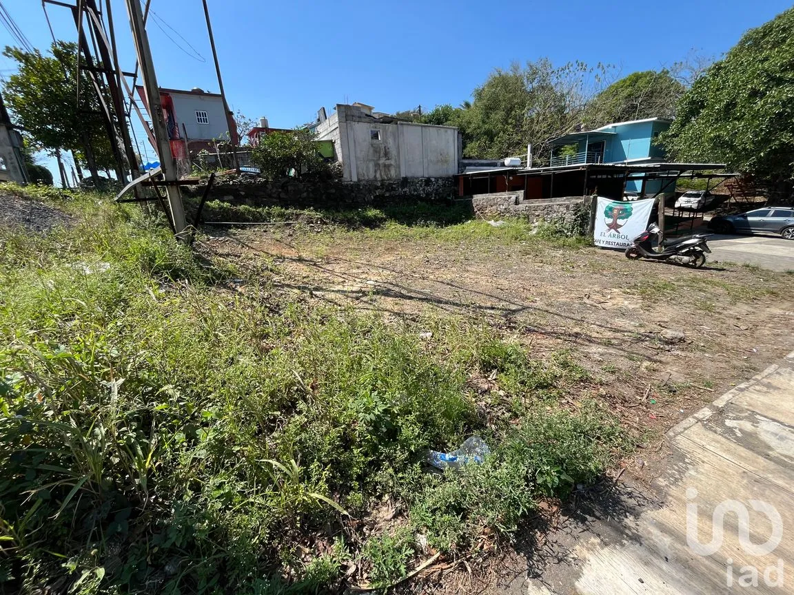Terreno en Renta en El Marquez, Santiago Tuxtla, Veracruz de Ignacio de la Llave | NEX-295725 | iad México | Foto 2 de 16