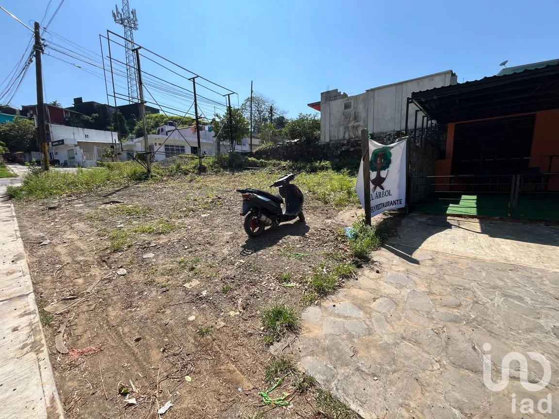 Terreno en Renta en El Marquez, Santiago Tuxtla, Veracruz de Ignacio de la Llave | NEX-295725 | iad México | Foto 6 de 16
