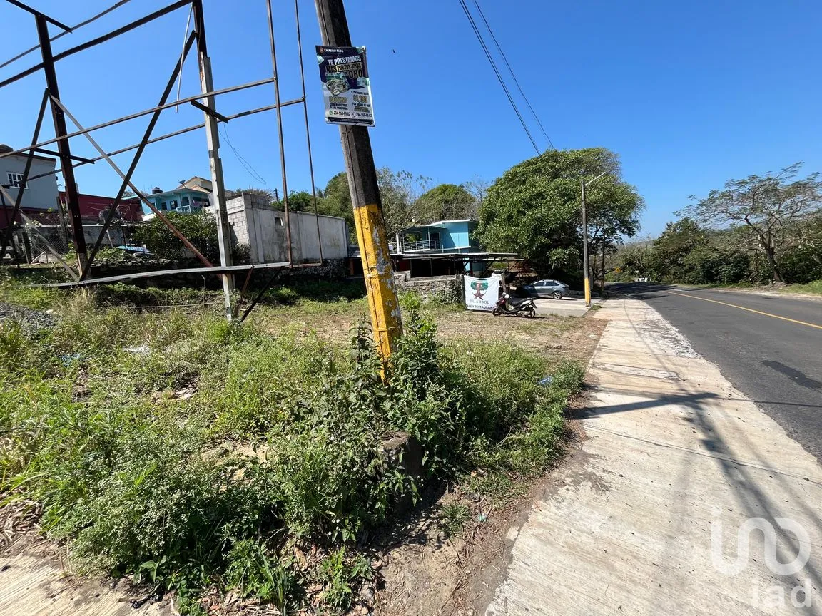 Terreno en Renta en El Marquez, Santiago Tuxtla, Veracruz de Ignacio de la Llave | NEX-295725 | iad México | Foto 7 de 16