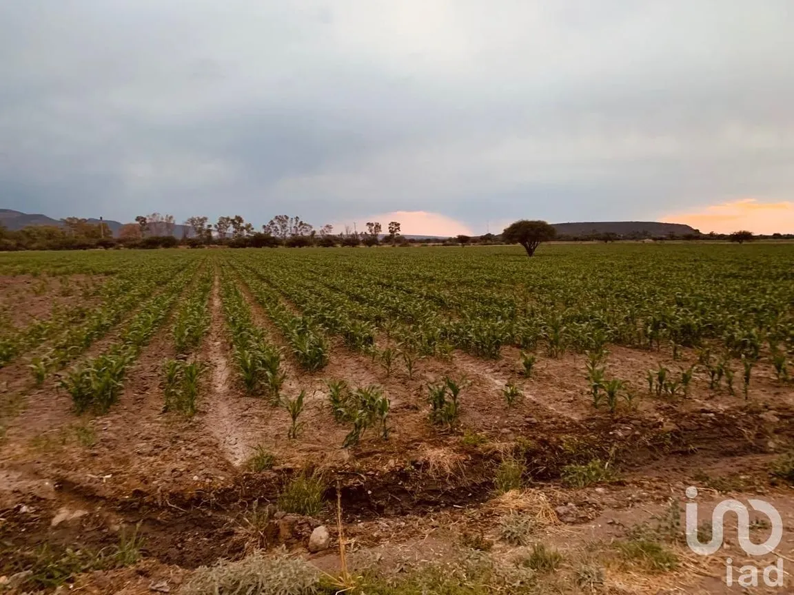 Terreno en Venta en Las Adjuntas, San José Iturbide, Guanajuato | NEX-174823 | iad México | Foto 2 de 6