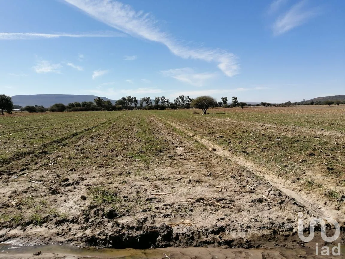 Terreno en Venta en Las Adjuntas, San José Iturbide, Guanajuato | NEX-174823 | iad México | Foto 4 de 6