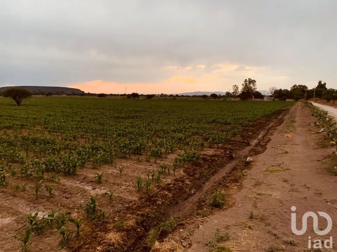 Terreno en Venta en Las Adjuntas, San José Iturbide, Guanajuato | NEX-174823 | iad México | Foto 1 de 6