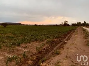 NEX-174823 - Terreno en Venta en Las Adjuntas, CP 37993, Guanajuato.