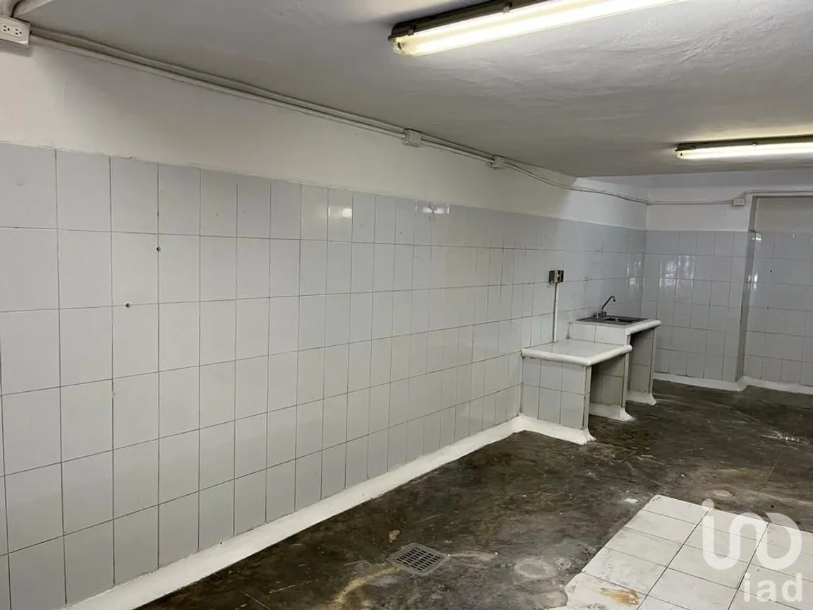 Local en Renta en Supermanzana 93, Benito Juárez, Quintana Roo | NEX-171143 | iad México | Foto 4 de 12