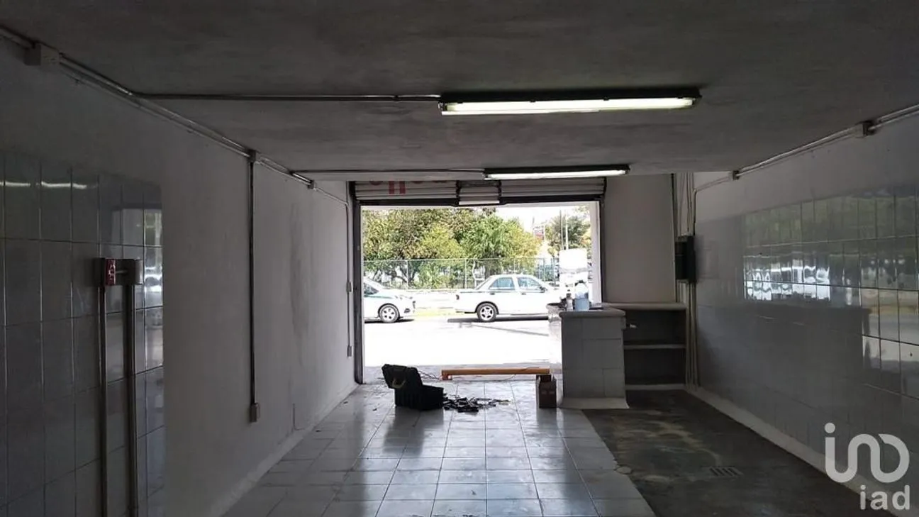 Local en Renta en Supermanzana 93, Benito Juárez, Quintana Roo | NEX-171143 | iad México | Foto 5 de 12