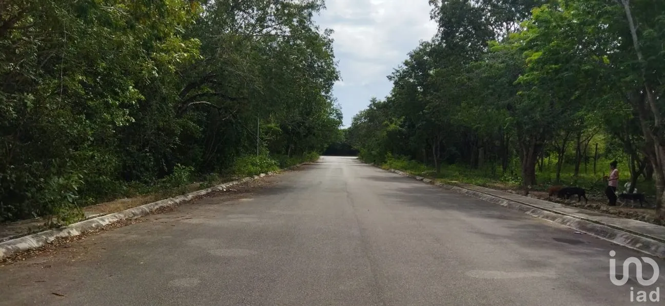 Terreno en Venta en Los Arrecifes, Solidaridad, Quintana Roo | NEX-178659 | iad México | Foto 3 de 5