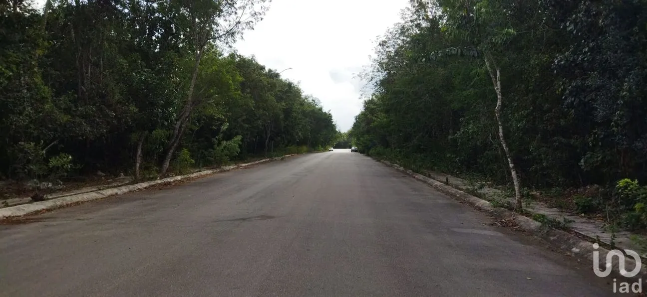 Terreno en Venta en Los Arrecifes, Solidaridad, Quintana Roo | NEX-178659 | iad México | Foto 4 de 5