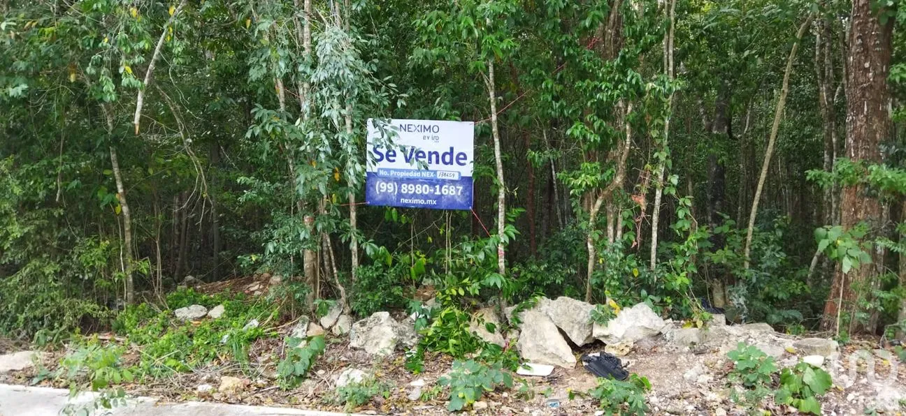 Terreno en Venta en Los Arrecifes, Solidaridad, Quintana Roo | NEX-178659 | iad México | Foto 5 de 5