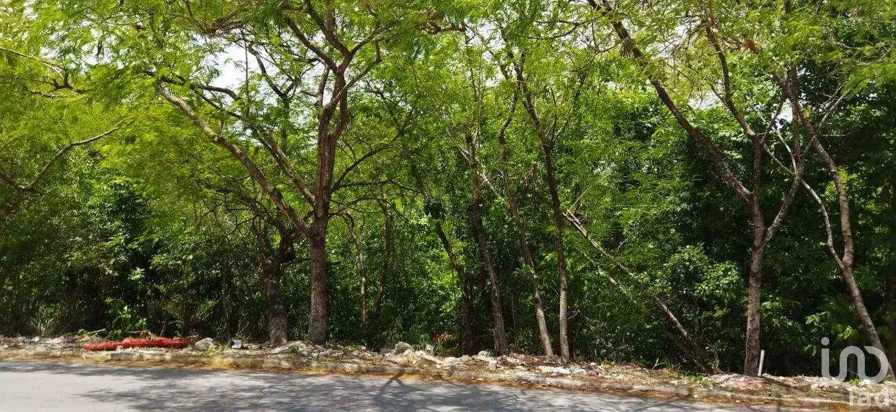 Terreno en Venta en Los Arrecifes, Solidaridad, Quintana Roo | NEX-178659 | iad México | Foto 1 de 5
