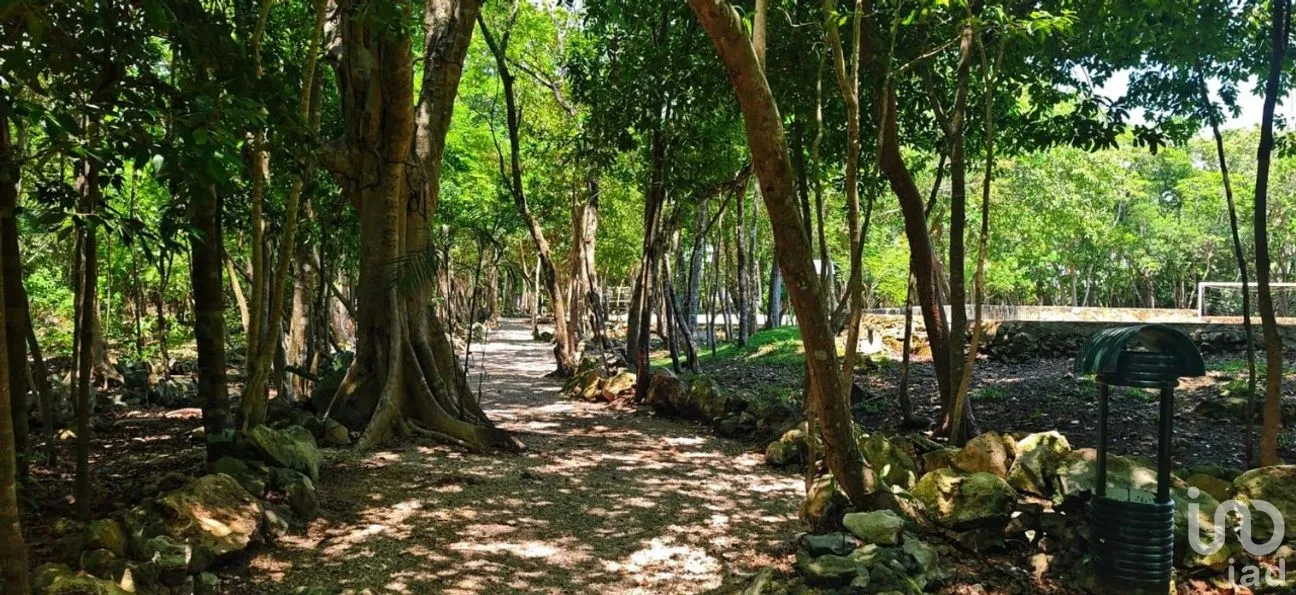 Terreno en Venta en Selvamar, Solidaridad, Quintana Roo | NEX-194202 | iad México | Foto 6 de 9