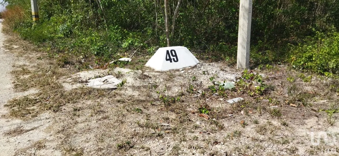 Terreno en Venta en Nuevo Pedregal, Benito Juárez, Quintana Roo | NEX-220921 | iad México | Foto 2 de 9