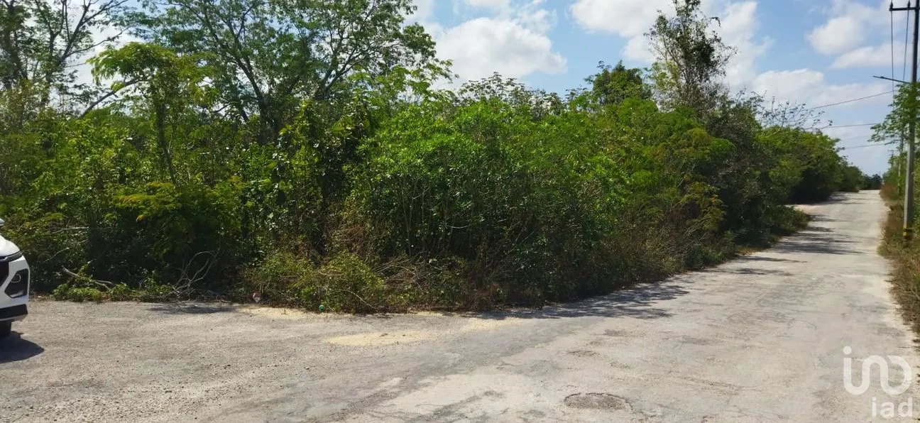 Terreno en Venta en Nuevo Pedregal, Benito Juárez, Quintana Roo | NEX-220921 | iad México | Foto 3 de 9