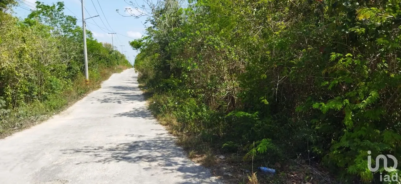 Terreno en Venta en Nuevo Pedregal, Benito Juárez, Quintana Roo | NEX-220921 | iad México | Foto 4 de 9