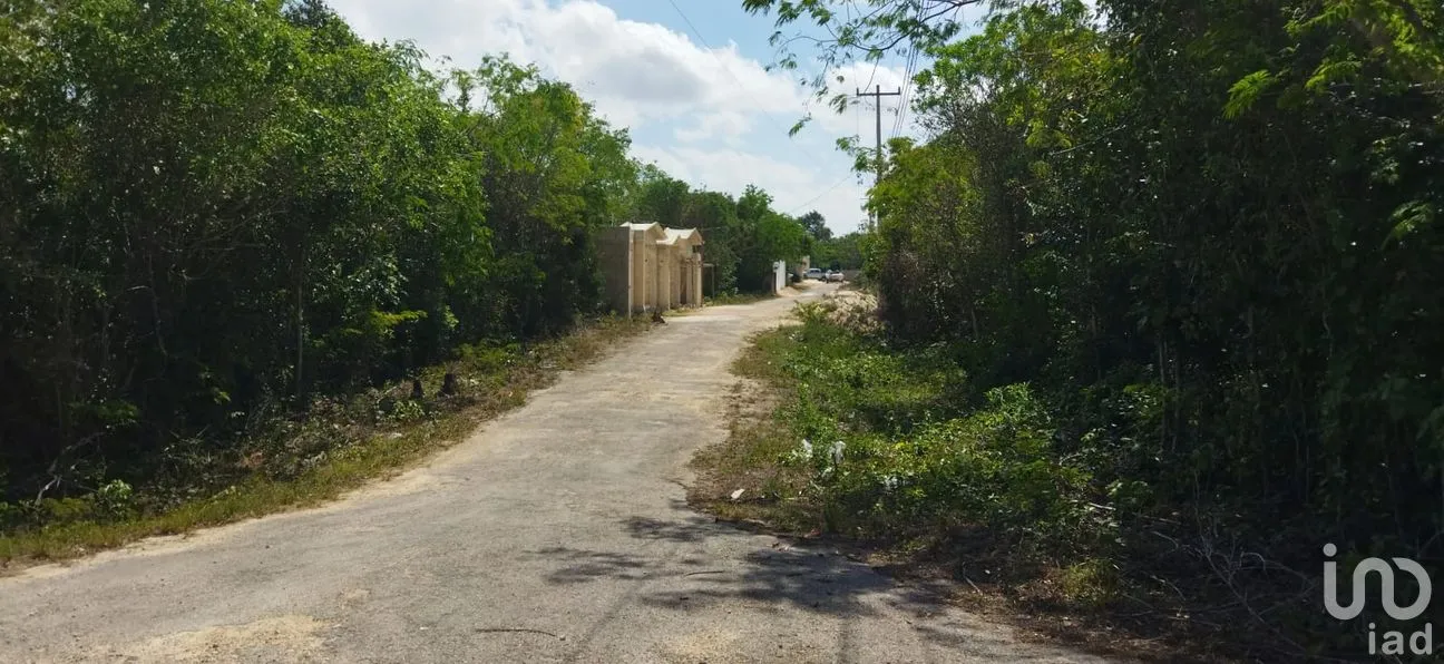 Terreno en Venta en Nuevo Pedregal, Benito Juárez, Quintana Roo | NEX-220921 | iad México | Foto 5 de 9