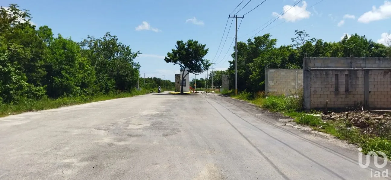 Terreno en Venta en Nuevo Pedregal, Benito Juárez, Quintana Roo | NEX-220921 | iad México | Foto 6 de 9