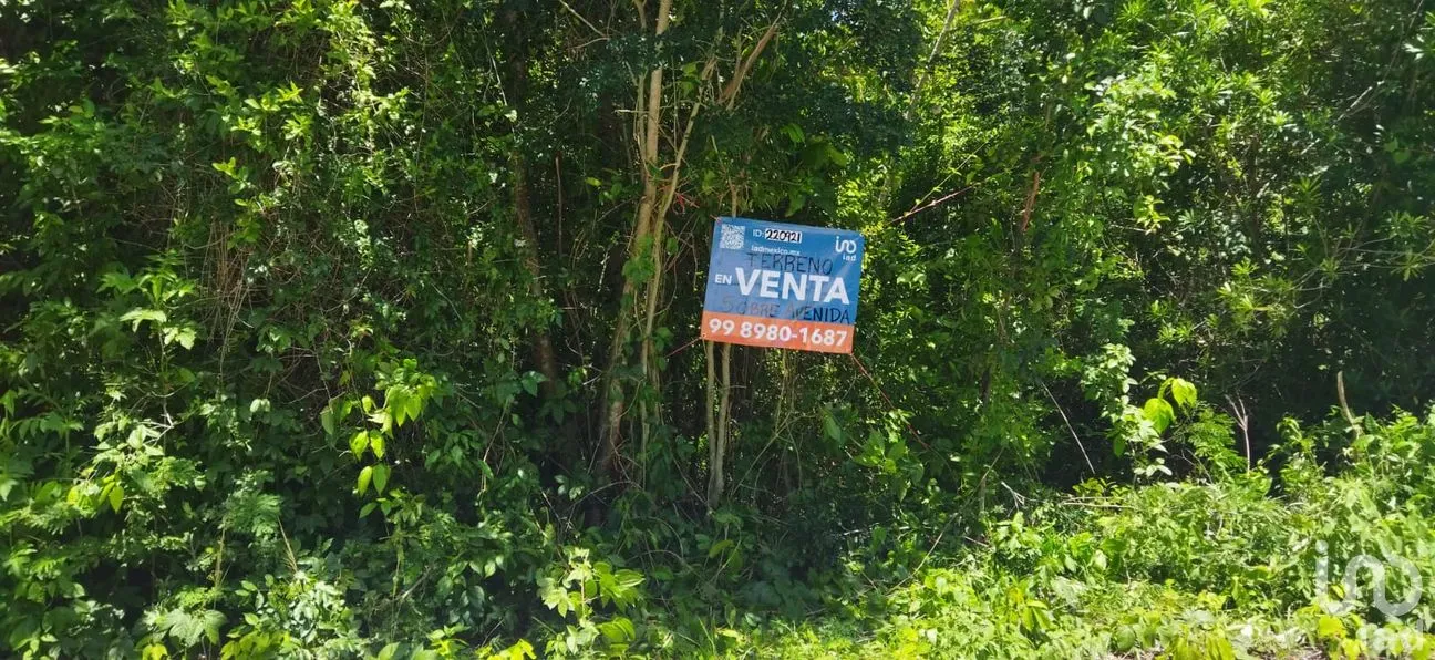Terreno en Venta en Nuevo Pedregal, Benito Juárez, Quintana Roo | NEX-220921 | iad México | Foto 9 de 9