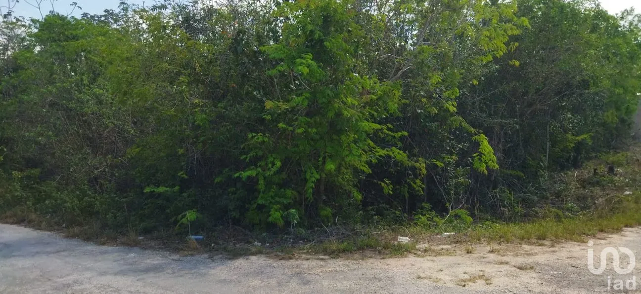 Terreno en Venta en Nuevo Pedregal, Benito Juárez, Quintana Roo | NEX-220921 | iad México | Foto 1 de 9