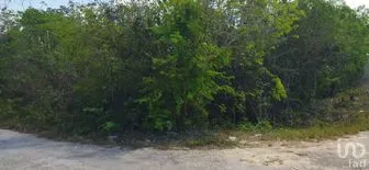 NEX-220921 - Terreno en Venta, con 300 m2 de construcción en Nuevo Pedregal, CP 77527, Quintana Roo.