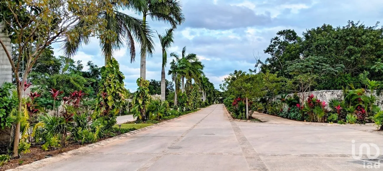 Terreno en Venta en Los Santos, Benito Juárez, Quintana Roo | NEX-255650 | iad México | Foto 2 de 12