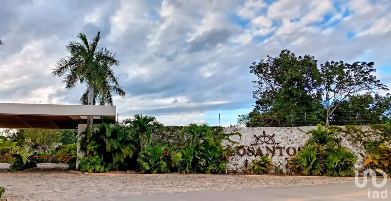 Terreno en Venta en Los Santos, Benito Juárez, Quintana Roo | NEX-255650 | iad México | Foto 3 de 12